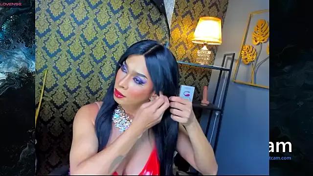 Check-out our cam rooms range and converse on a personal level with our delicious livecams streamers, showing off their spicy curves and toys.