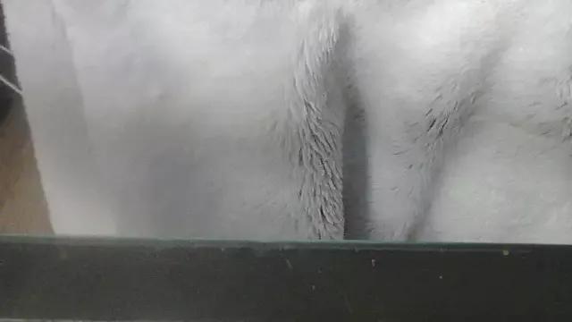 we_are_fucking_serious from StripChat is Freechat