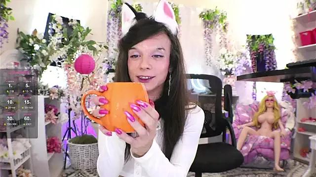 Check-out our cam rooms range and converse on a personal level with our delicious livecams streamers, showing off their spicy curves and toys.